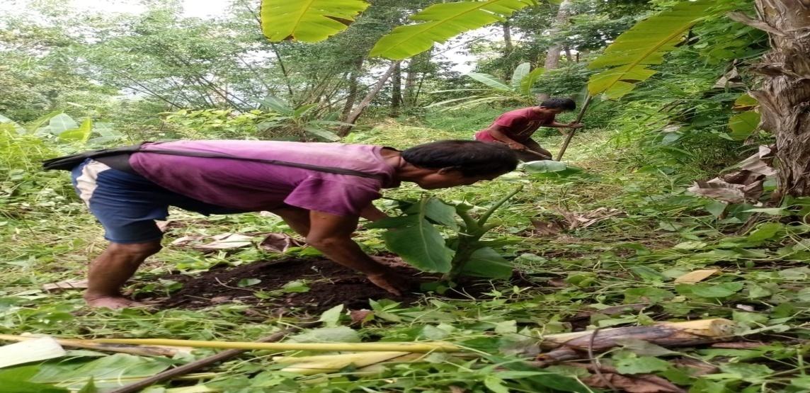 G:\VILLAGE REPORT PICTURES\UMSING BLOCK\Mawshang\WhatsApp Image 2023-02-09 at 11.38.10.jpeg